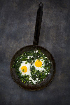 Shakshouka with baby spinach, chard, spring onions and basil in pan