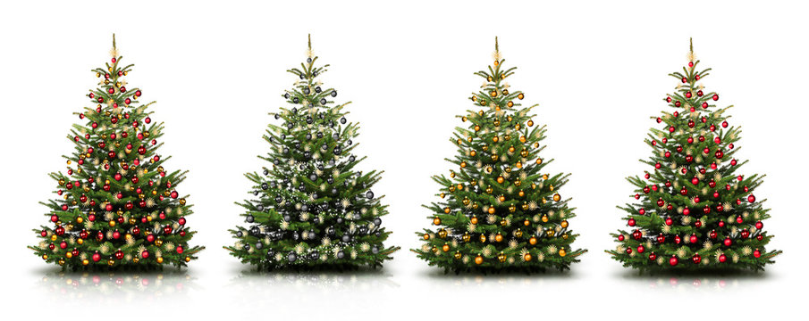 Weihnachtsb&auml;ume