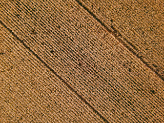 Drone aerial view of agriculture fields