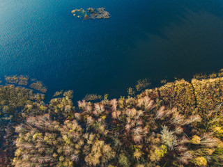 Fototapeta na wymiar Lake and autumn forest in Kaunas