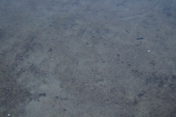Water surface