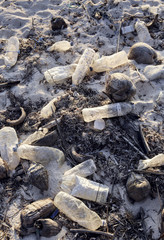 Obraz premium Empty single used plastic bottle polluting beach