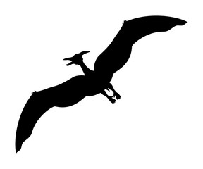 Pterosauria silhouette dinosaur jurassic prehistoric animal © KozyrevaElena