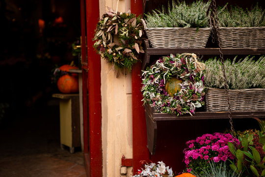 Autumn decoration with pumpkins and flowers at a flower shop on a street in a European city