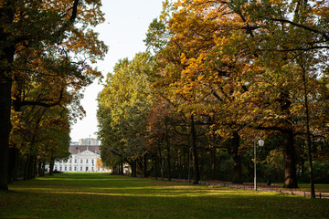 Autumn in the Tiergarten park in Berlin