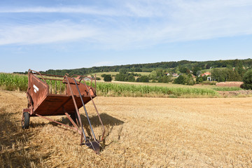 mais recolte secheresse ete climat meteo culture agriculture perte chaleur canicule terre planete environnement bio rechauffement climatique 2018 record brule cereales wallonie champs