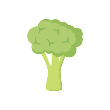 Colorful Broccoli Clipart Cartoon. Broccoli Vector Illustration.