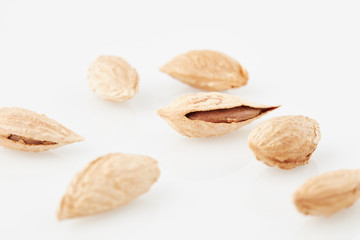 almonds with rind on white fund