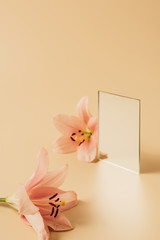 two lily flowers and mirror on beige table