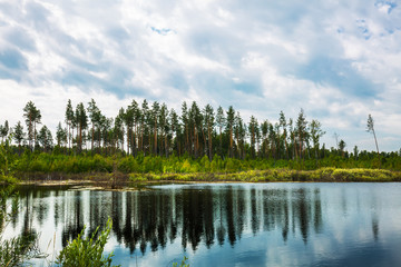 Fototapeta na wymiar Taiga lake. Siberia,Russia