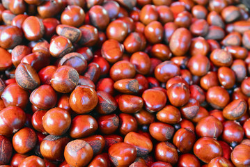 Group of edible chestnuts.Tasty ripe chestnuts. Dark background.