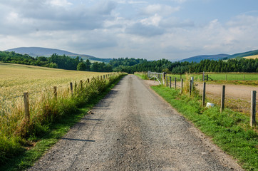 Fototapeta na wymiar A road passes between fields on a farm in Scotland