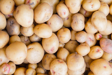 Ripe white plums in a clay bowl on a wooden table. Summer seasonal fruit concept