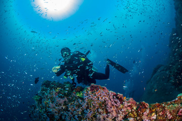 SCUBA diver swimming over a colorful, beautiful tropical coral reef at dawn