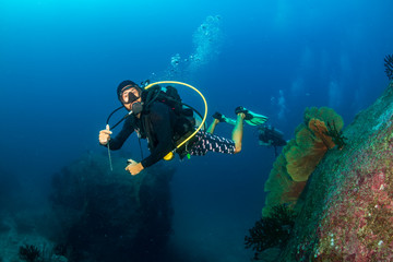 Naklejka na ściany i meble SCUBA diver swimming on a dark, murky tropical coral reef