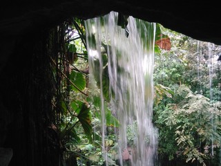Cascada - Wasserfall