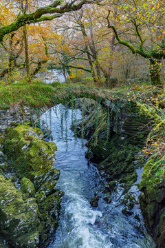 Roman Bridge at Fairy Glen, Wales, UK 