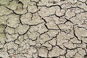 Dry cracked earth due to hot weather and drought