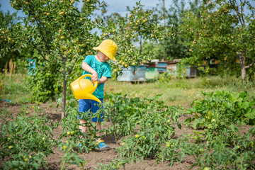 Little boy watering