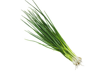 Bunch of green onions isolated on white background