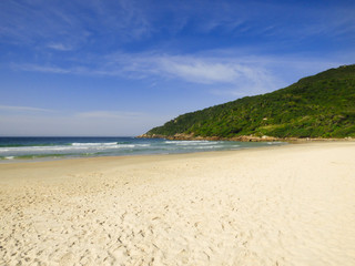 A view of Brava beach, located in the north of Florianopolis island - Brazil