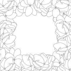 Arabian Jasmine Outline Border