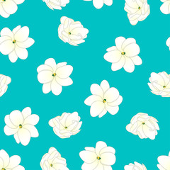 Arabian Jasmine on Blue Teal Background