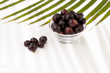Acai amazonian fruit (Euterpe oleracea)