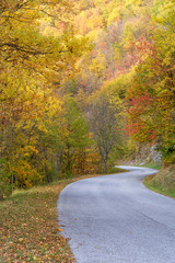 Obraz premium Alpine autunnal road