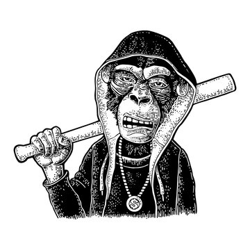 Monkey raper dressed in hoodie, necklace dollar. Vintage black engraving