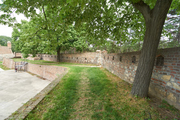 Linden trees in Belgrade fortress