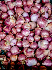 Pile of many red shallot onions fresh from farm