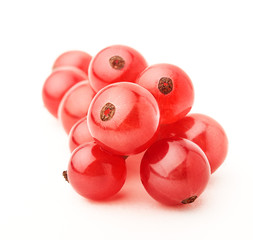 isolated berries. Fresh red currant isolated on white background