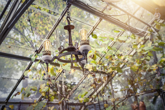 Antique chandelier with Edison bulbs