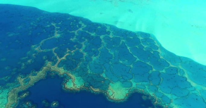 coral in aerial view in the pacific