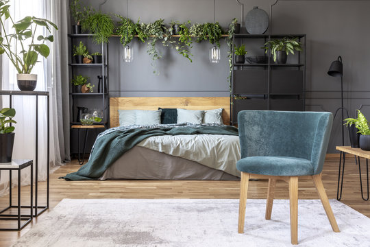 Green velvet armchair standing on white carpet in grey bedroom interior with fresh plants, king-size bed with wooden headboard and black metal furniture
