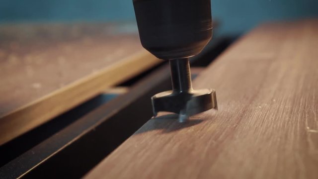 Drilling hole in the tree cutter. Slow motion shooting. Production of furniture