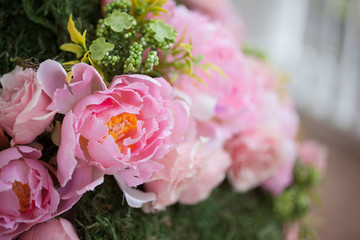 Pink Flower 3