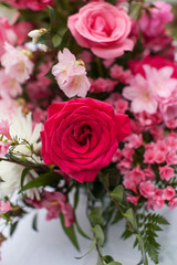 Red and Pink flowers