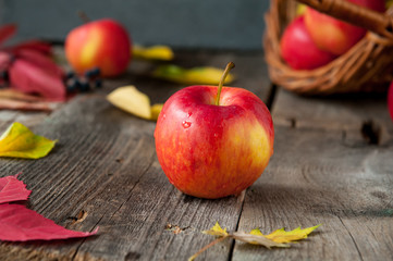 Close up fresh Ripe organic one red apple with water drops on the rustic wooden table. Space for...