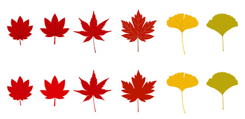 カエデ いちょうのイラストセット