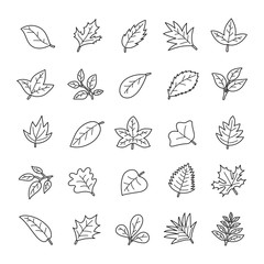 Vector illustration of autumn leaves line icon set for design.