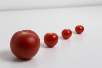 Tomaten in reihe