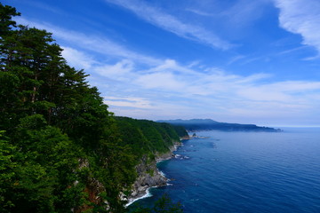 三陸復興国立公園、鵜の巣断崖。田野畑　岩手　日本。７月中旬。