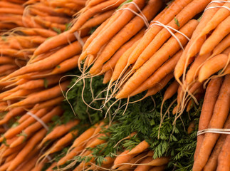 Carrot bunches bound with rubber bands at the Clement Street Farmer's Market in San Francisco.