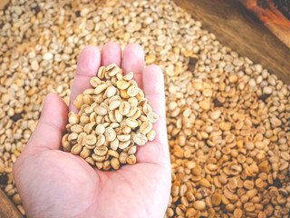 Dried coffee beans on hand