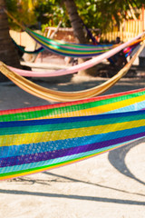 Multi Coloured Hammocks Hanging on Tropical Palm Trees