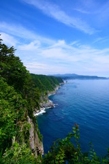 鵜の巣断崖、夏。三陸海岸国立公園。田野畑　岩手　日本。７月中旬。