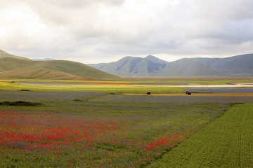 Fototapeta na wymiar A magnificent sunrise in Castelluccio di Norcia. expecting more to the thousand colours of flowering 