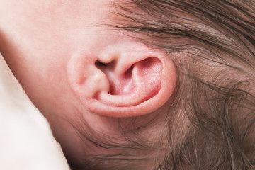 babyohr